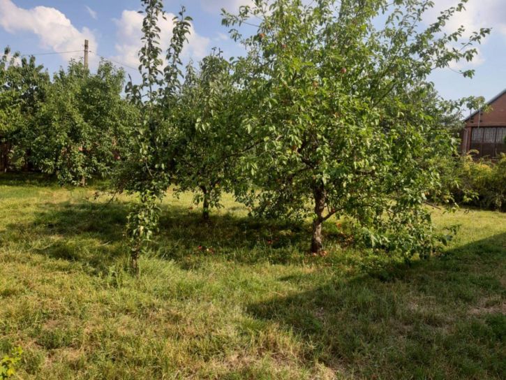 Земельный участок Красных Партизан ул, 1/2