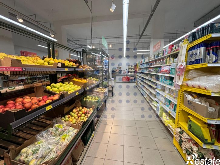 Торговое помещение Московская ул., 148к2