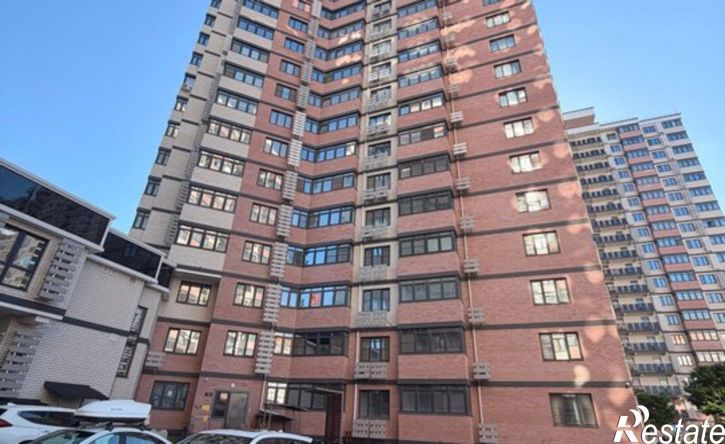2-комн квартира улица Героя Владислава Посадского, 17 к1,  д. 17 к1