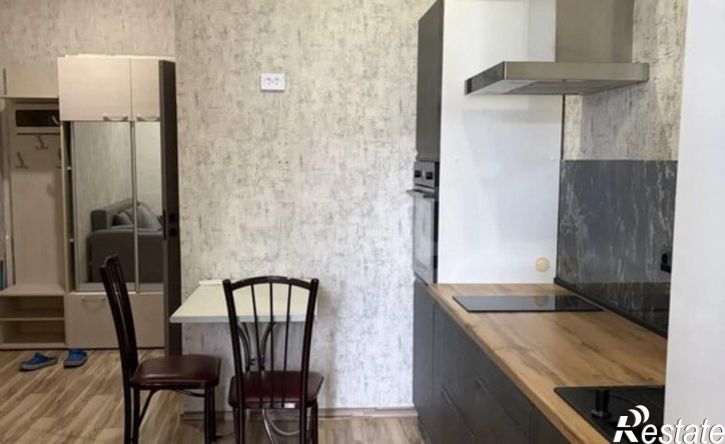 1-комн квартира улица Генерала Петрова, 39,  д. 39