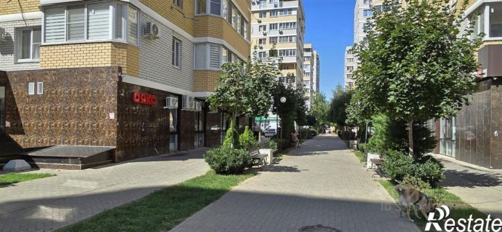 Торговое помещение ул Красных Партизан, 227,  д. 227