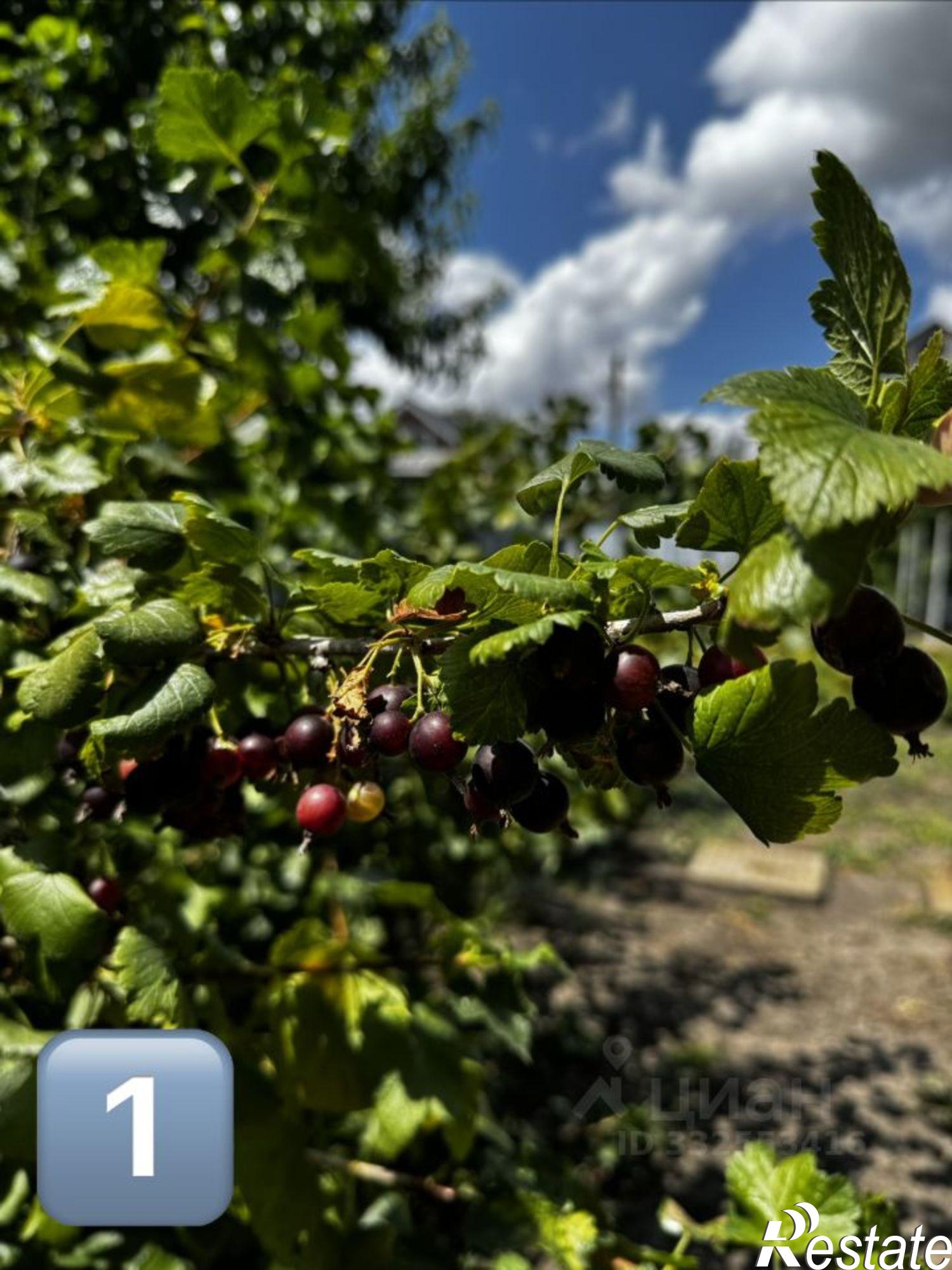 Купить землю, земельный участок за 2 500 000 рублей на ул Кубанская, 32
