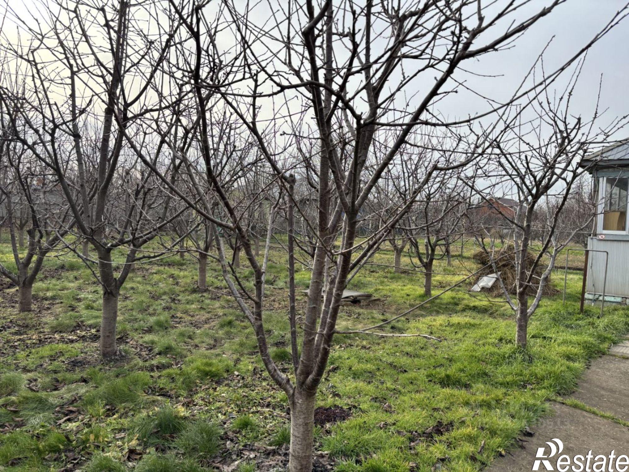 Купить дачу, дом, коттедж за 16 000 000 рублей