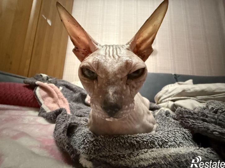 Комната ул Старокубанская, 95,  д. 95