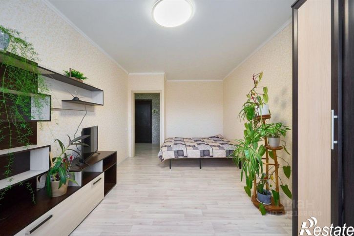 1-комн квартира пр-д им. Репина, 5,  д. 5