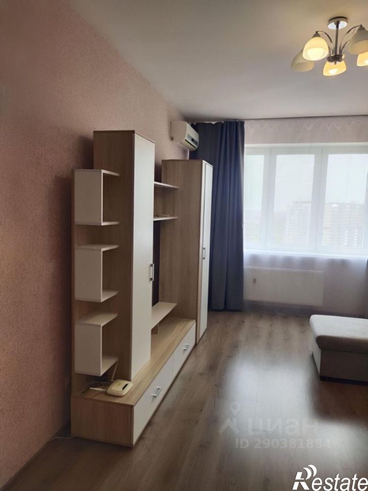 1-комн квартира пр-кт им. писателя Знаменского, 10,  д. 10
