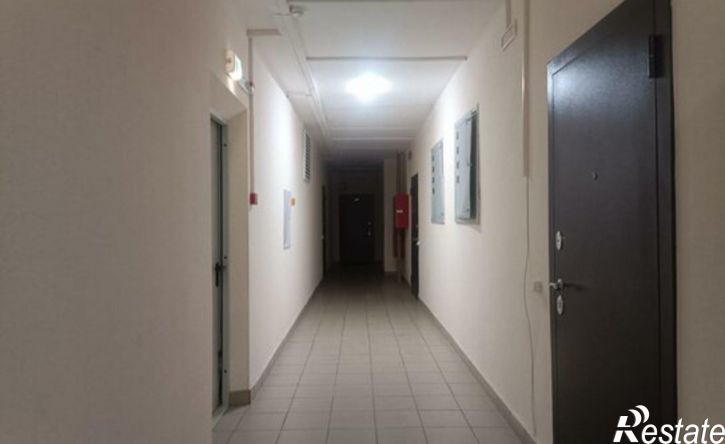 1-комн квартира пр-д им. Репина, 5,  д. 5