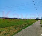 земля 500 сот Прикубанский