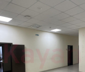 офис 827 кв м, этаж 3/5 Рашпилевская ул.