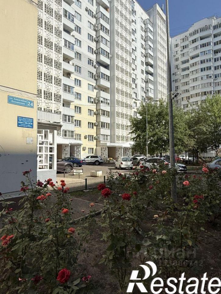 3-комн квартира улица Академика Лукьяненко, 24,  д. 24