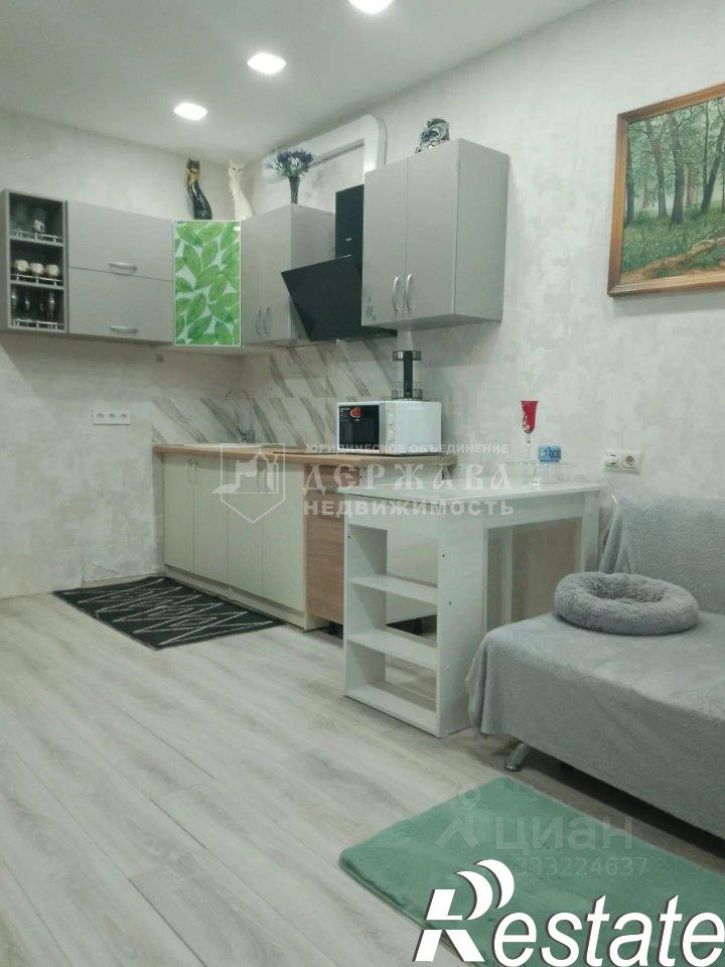 1-комн квартира Измаильская улица, 82 к1,  д. 82 к1