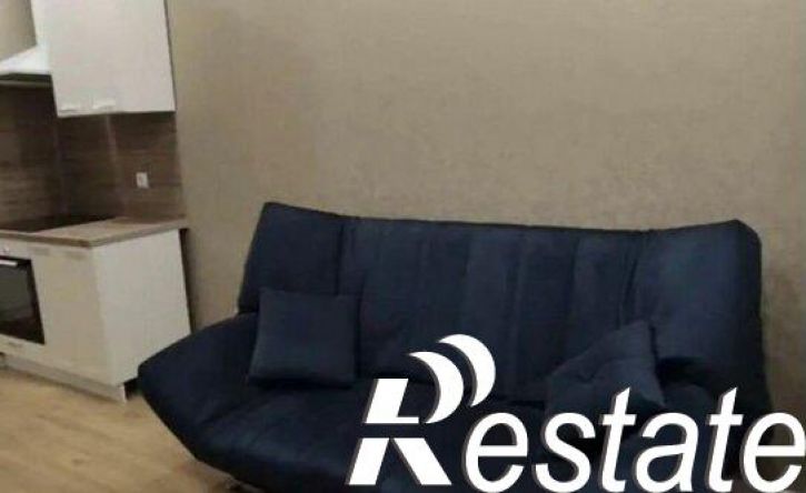 1-комн квартира улица Петра Метальникова, 38,  д. 38
