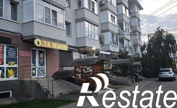 1-комн квартира улица Шевцова, 36 лит2,  д. 36 лит2