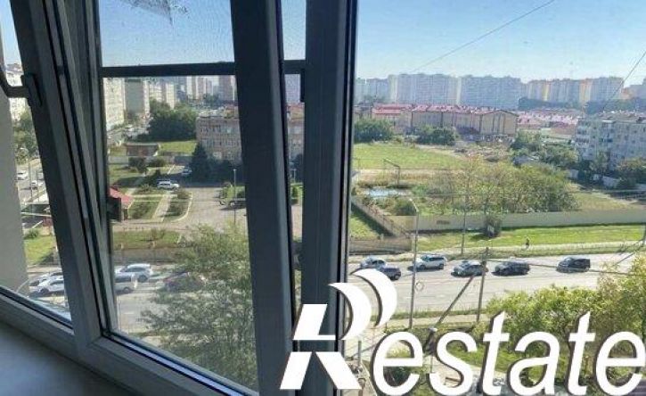 1-комн квартира Восточно-Кругликовская улица, 55,  д. 55