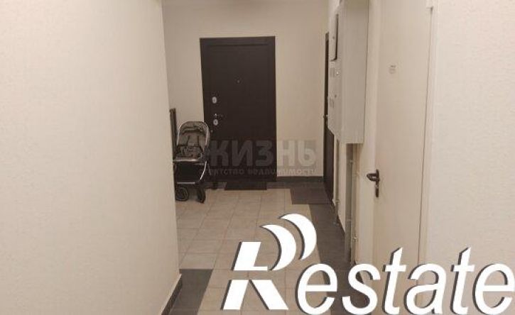 1-комн квартира улица Валерия Вишневецкого, 13 к4,  д. 13 к4