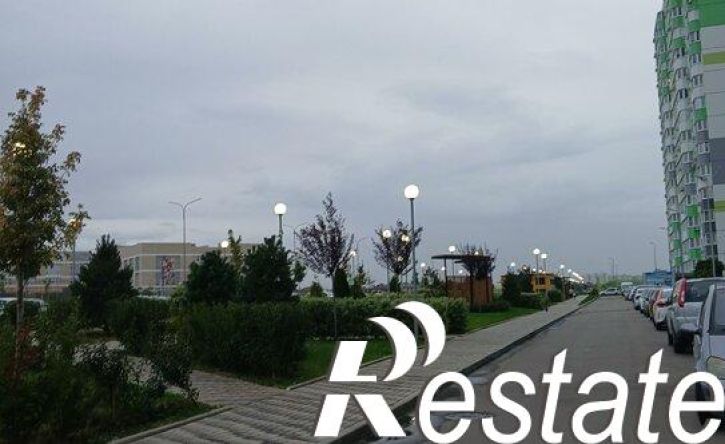 1-комн квартира улица им. Героя Советского Союза Дмитрия Мирошниченко, 41,  д. 41